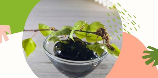 Rośliny i zioła w naturalnej pielęgnacji