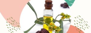 Olejek jojoba – zastosowanie w pielęgnacji skóry i włosów