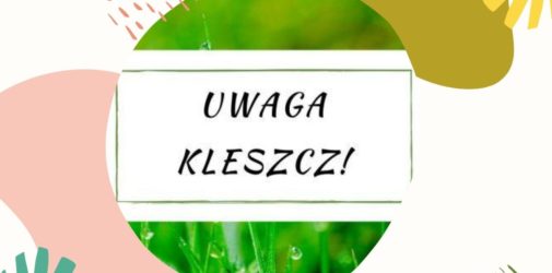 Pielęgnacja ciała - naturalnie