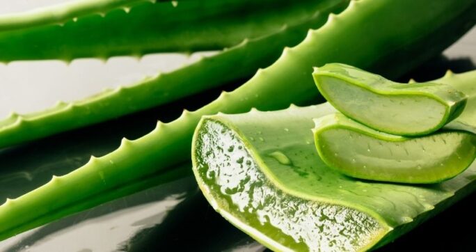 aloes na twarz jak stosować