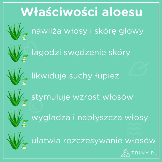 właściwości aloesu na włosy