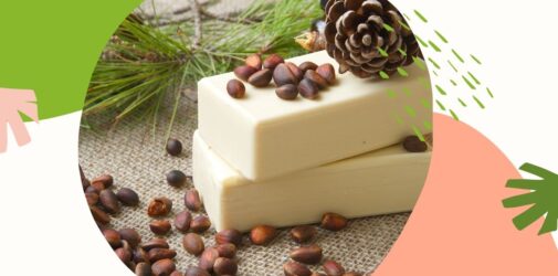 Rośliny i zioła w naturalnej pielęgnacji