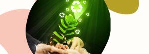 Plebiscyt blogów Less Waste