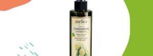 Melica