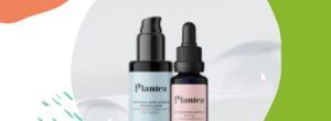 Plantea