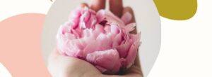Piwonia w kosmetykach